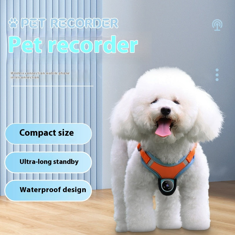 Pets Recorder Pet Tracker Collar Dogs and Cats Viewing Angle Motion Recording Camera Action Camera with Video Records Cat Collars Camera Sport Pet Products